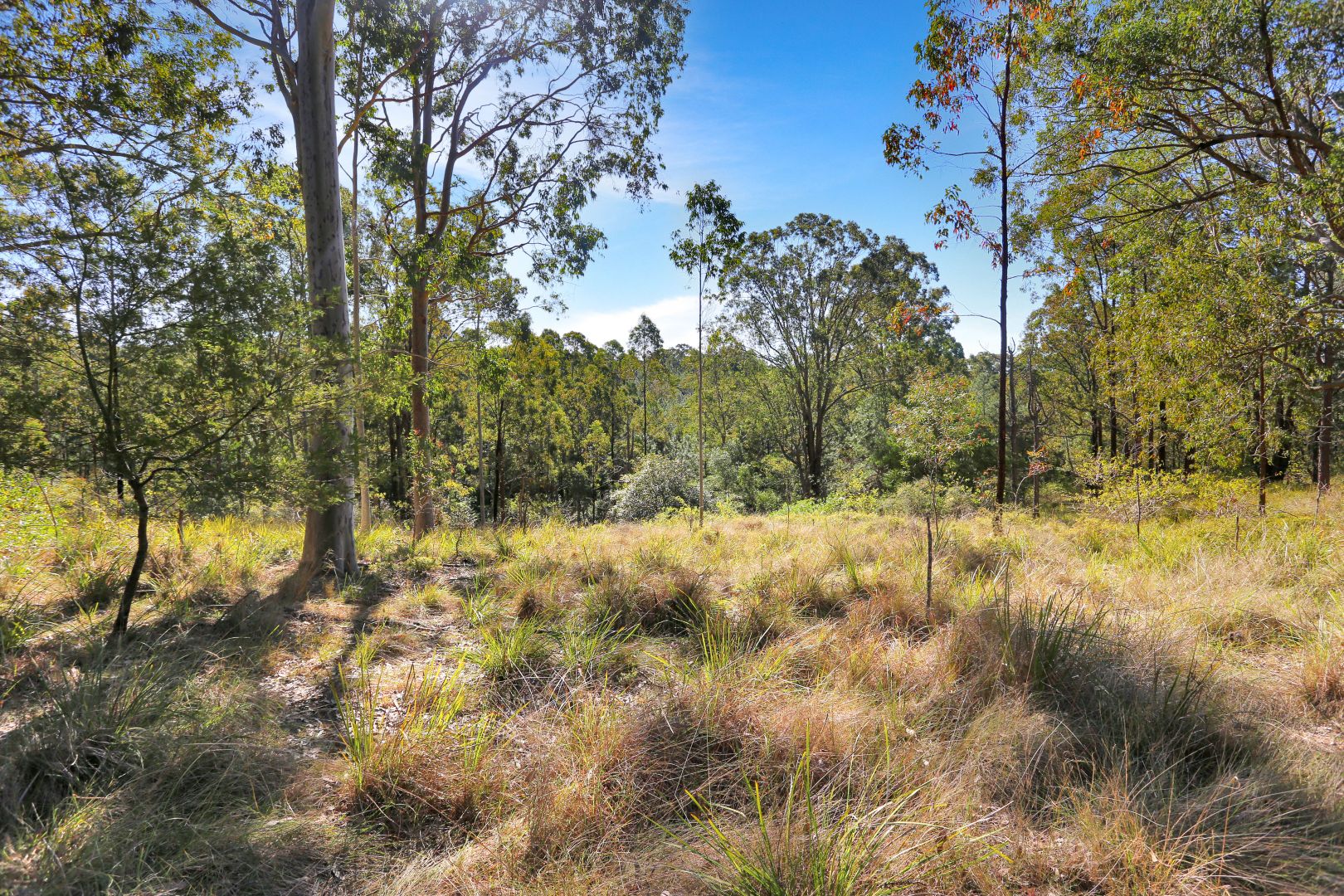 179 Viney Creek Road, Tea Gardens NSW 2324, Image 1