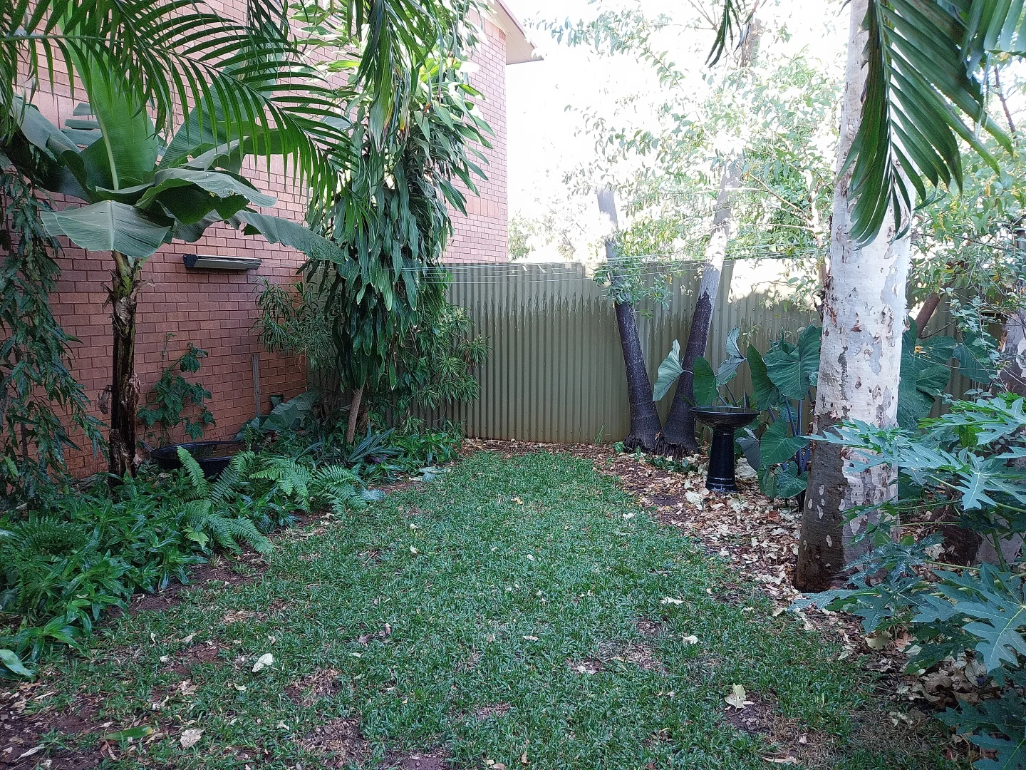 Image 17