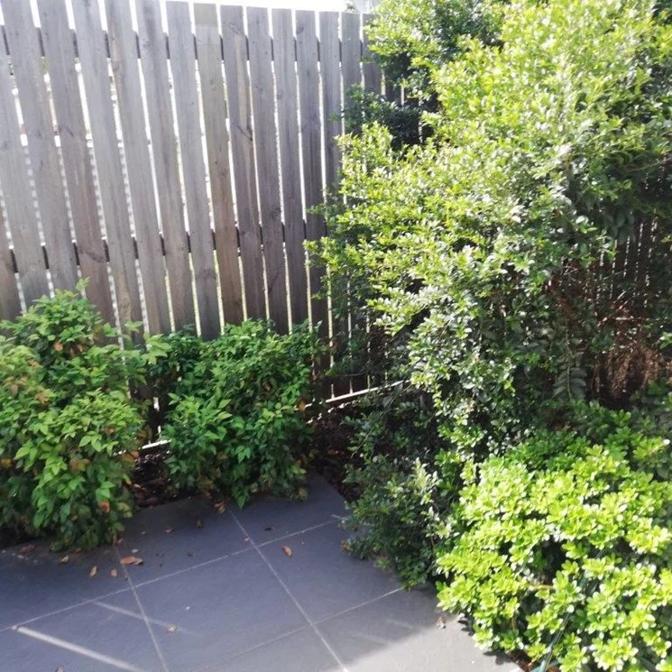 Additional image 15 of 5/12 Burns St, Fernvale QLD 4306