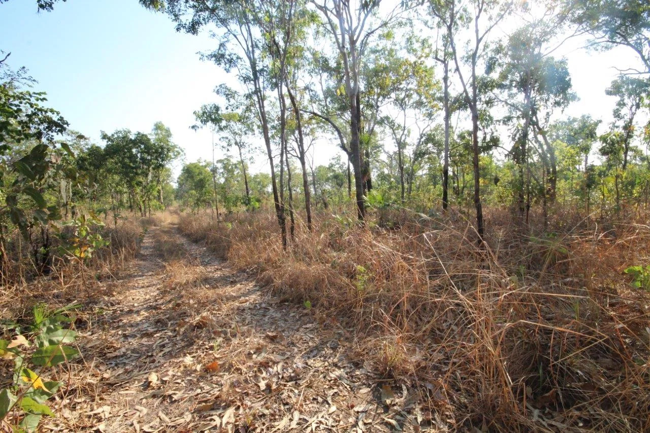 Image 12