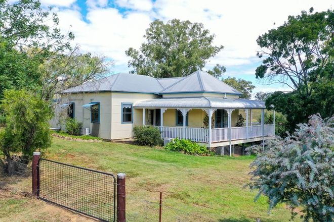Picture of 602 Green Creek Road, WAVERLY NSW 2337