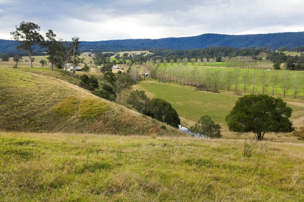 1295 Chichester Dam Road, Dungog NSW 2420, Image 0