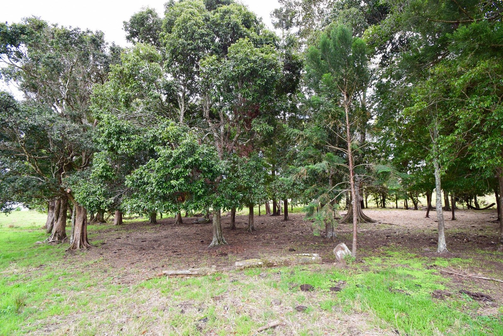 870 Jiggi Road, Jiggi NSW 2480, Image 1