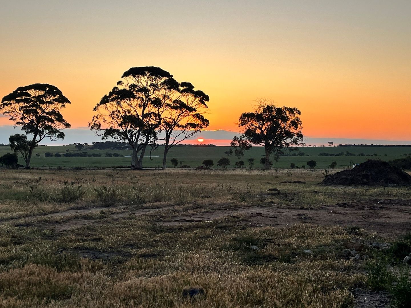 50 Chandler Road, Merredin WA 6415 Vacant Land for Sale 90,000