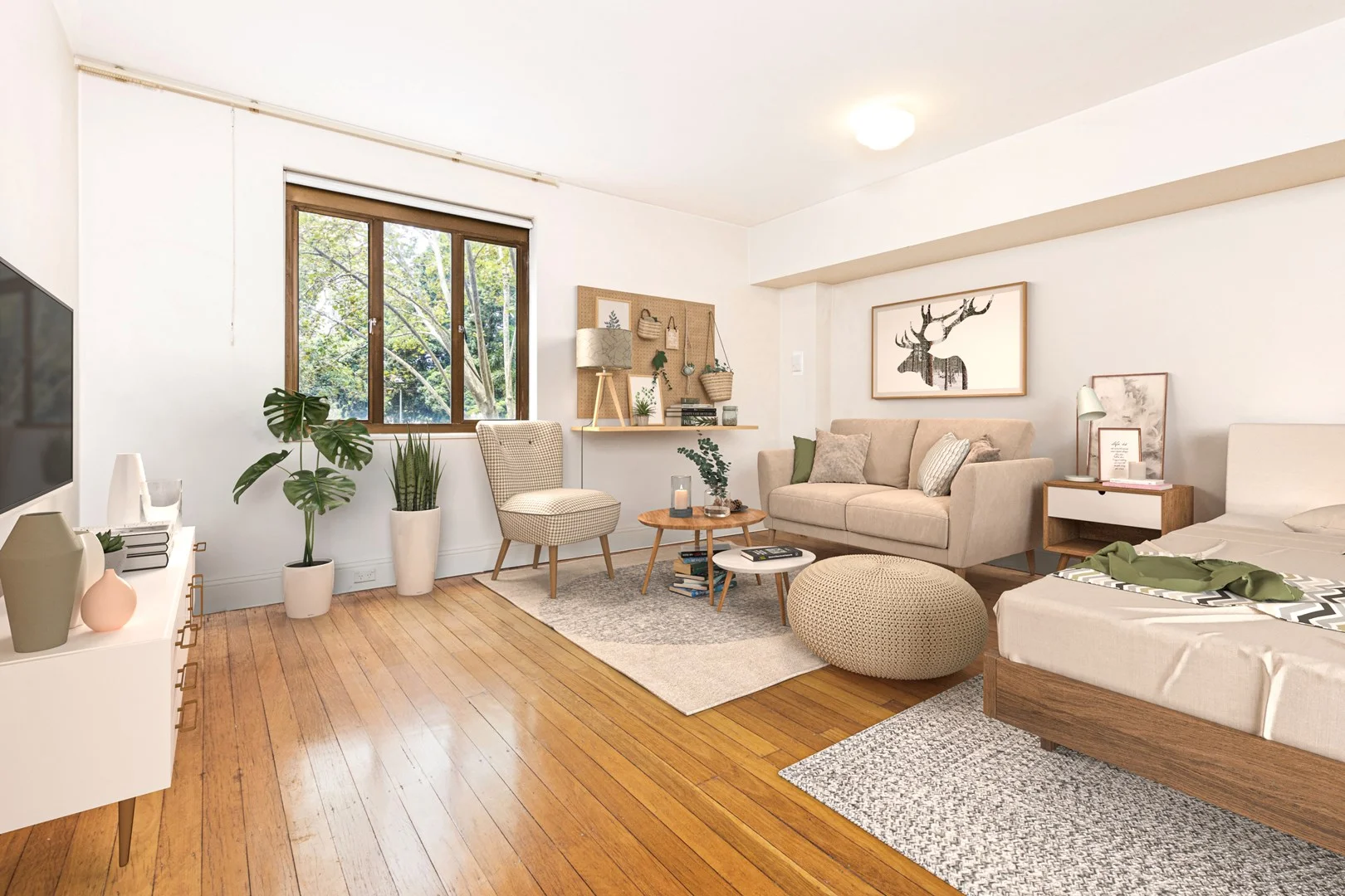 11/117 Macleay Street, Potts Point NSW 2011