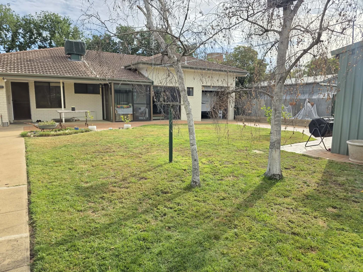 Image 15
