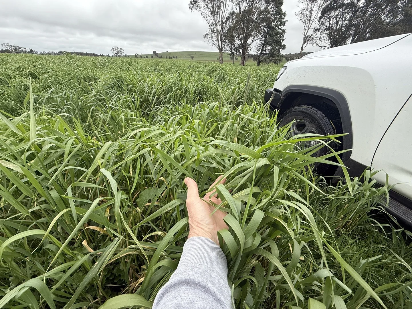 CA E SEC4, CA F SEC4 Eastern Peake Road, Mount Bolton VIC 3352