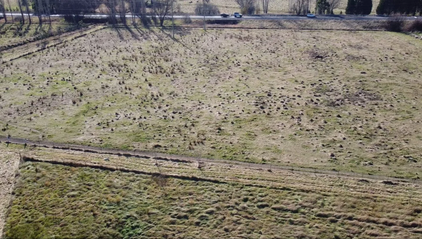 Additional image 3 of Avoca NSW 2577