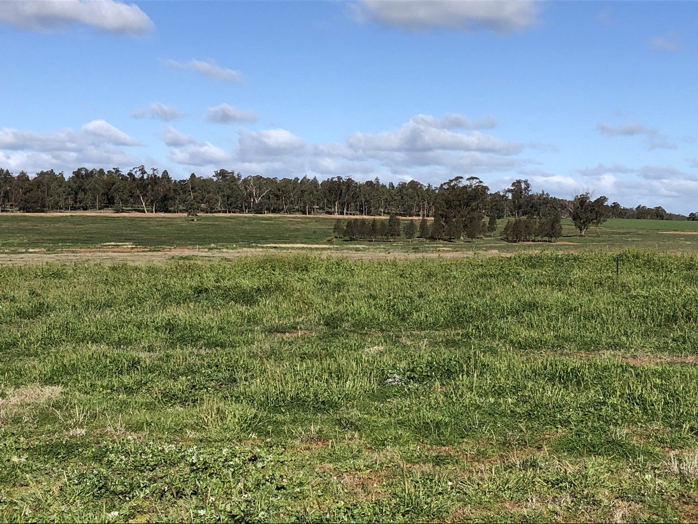 "Hillside", Beckom NSW 2665, Image 0