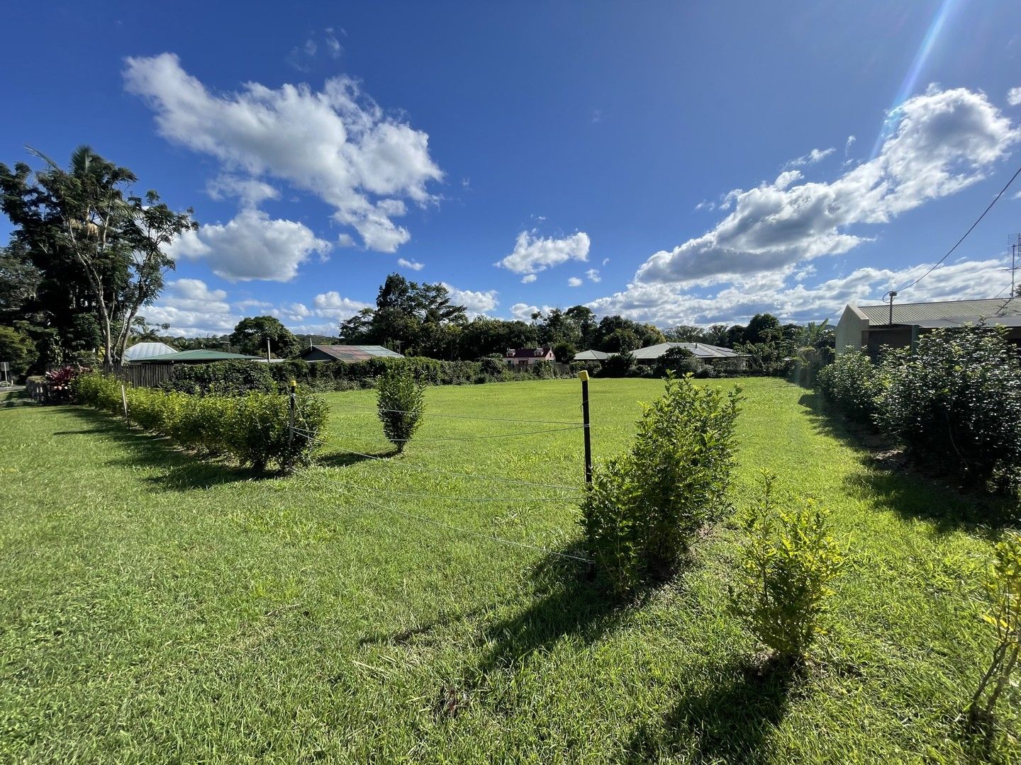 30 Gillies Range Road, Yungaburra QLD 4884 Domain