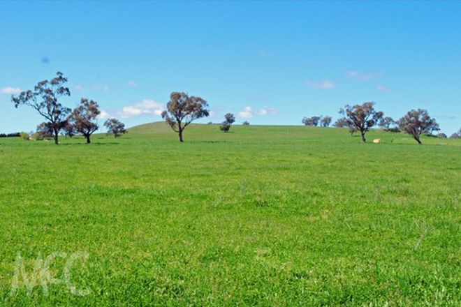 Picture of Lot 1 & 4 Mouse Hole Lane, BOREE NSW 2800