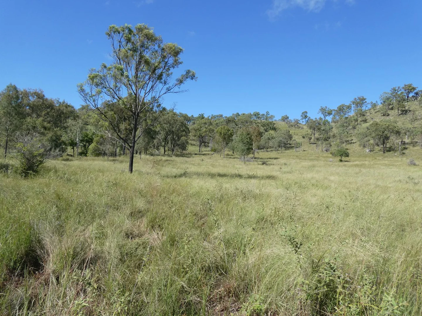 Additional image 38 of L63 & L99 Summers Road, Ginoondan QLD 4625