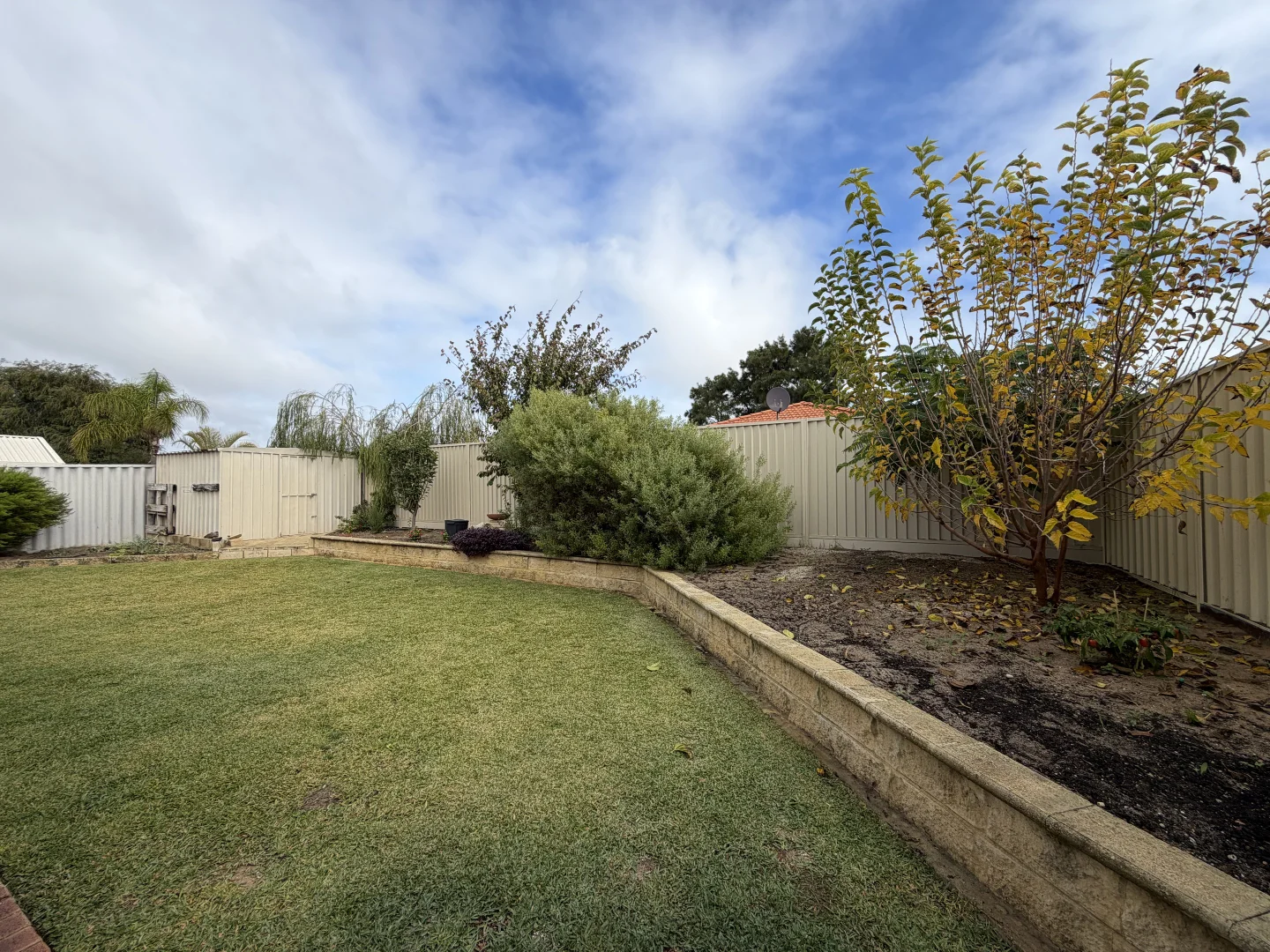 Image 20