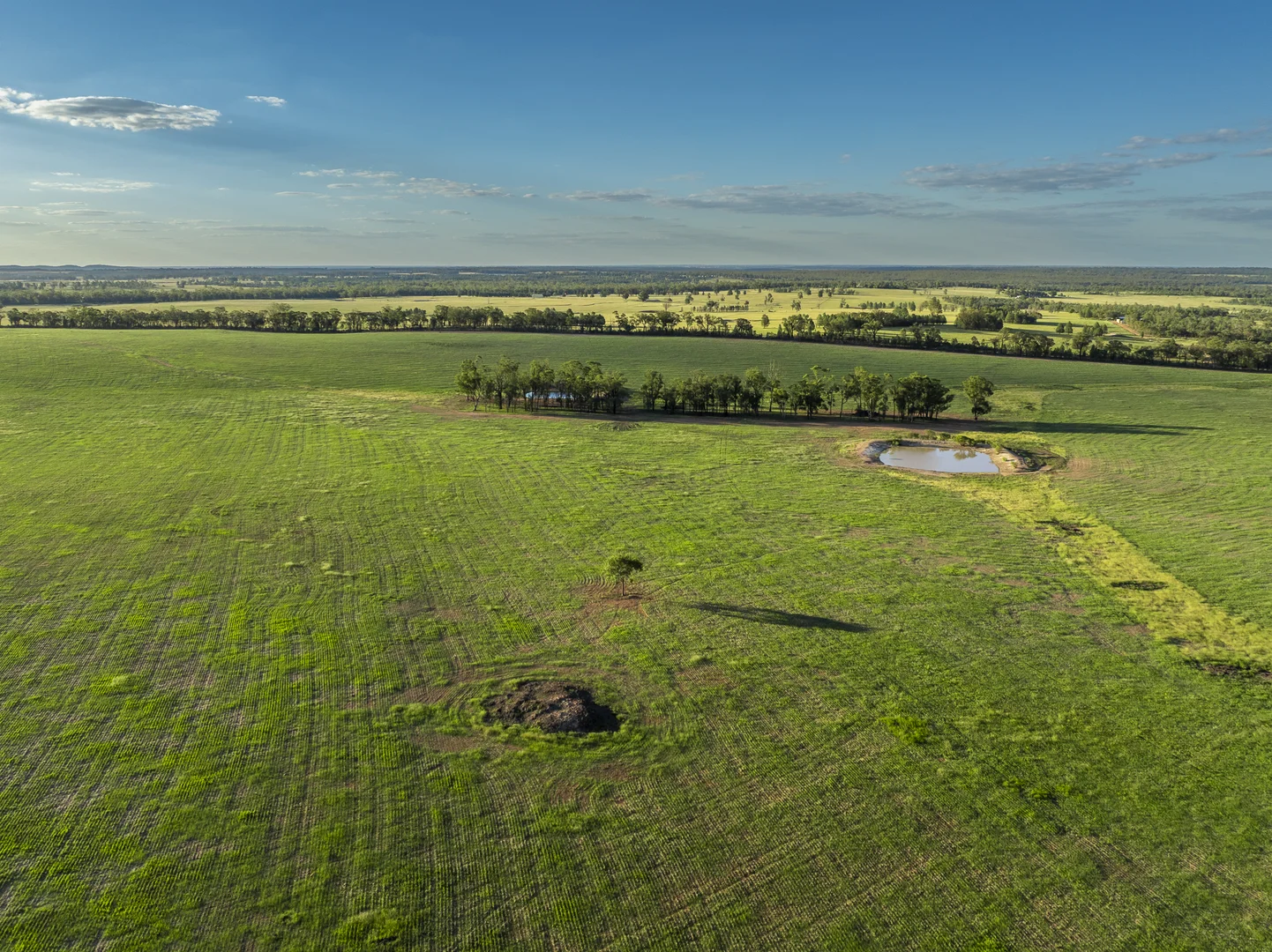 Additional image 33 of 159L Peak Hill Road, Dubbo NSW 2830