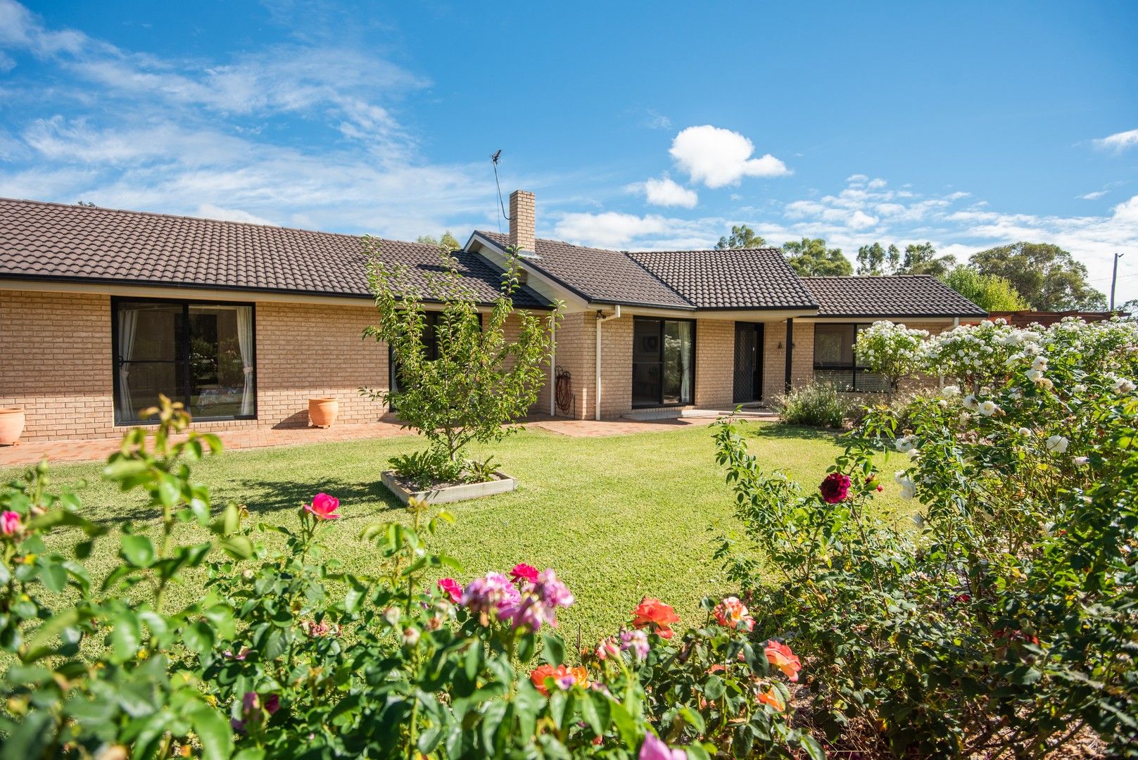 20 Alford Street, Currabubula NSW 2342, Image 0