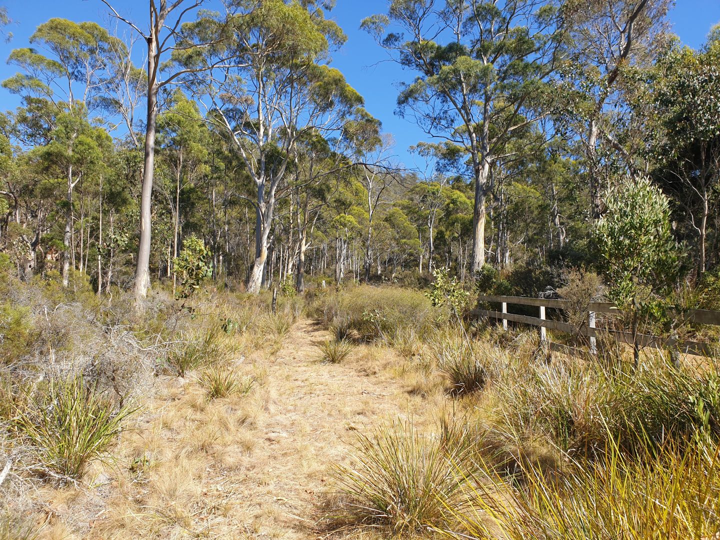 Lot 2, Lowes Road, Garden Island Creek TAS 7112, Image 1