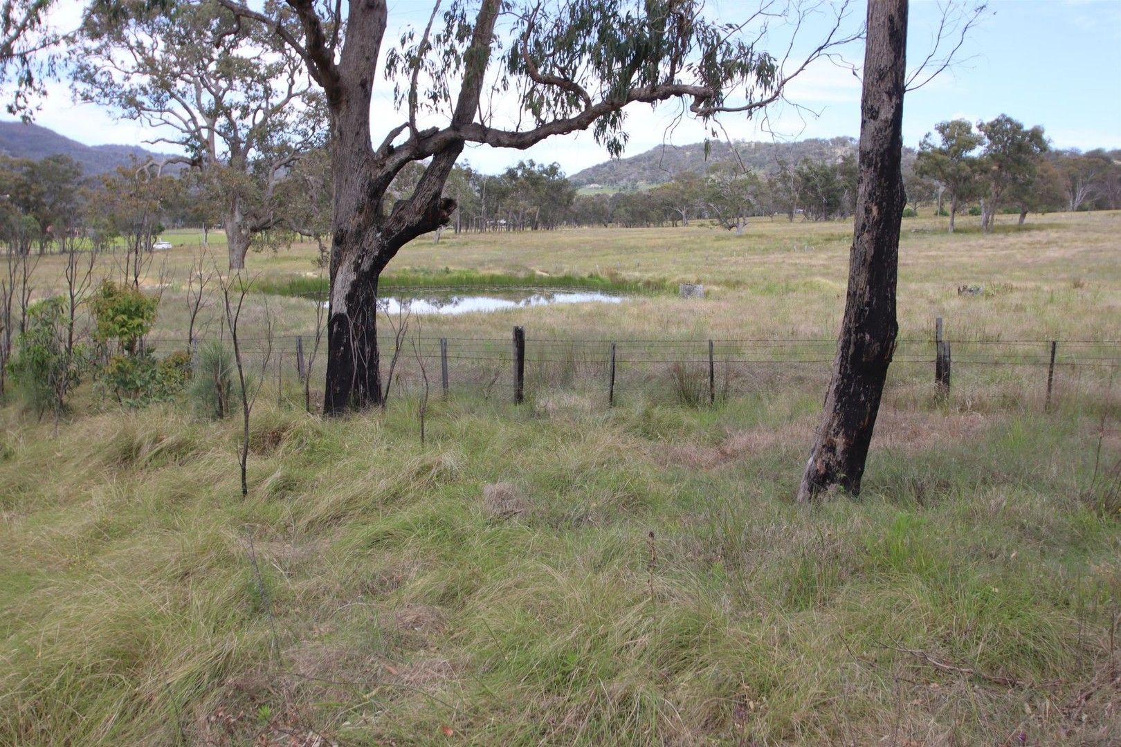 Lot 501 Neagles Lane, Tenterfield NSW 2372, Image 0