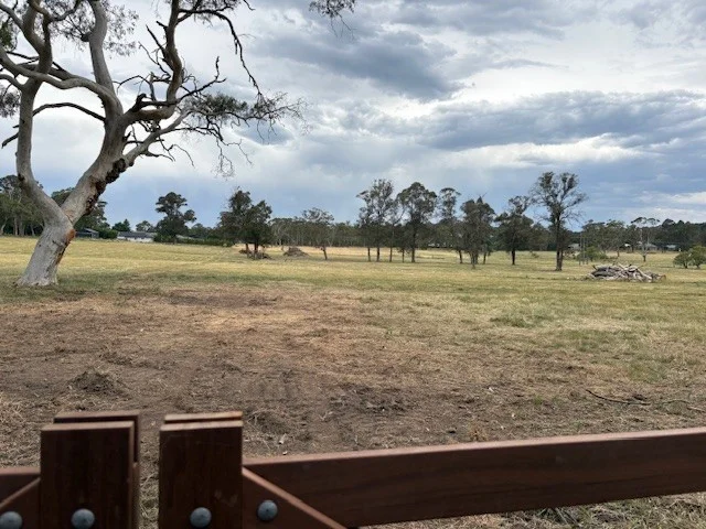 Image 15
