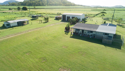 Picture of 341 Mount Ossa-Seaforth Road, MOUNT OSSA QLD 4741