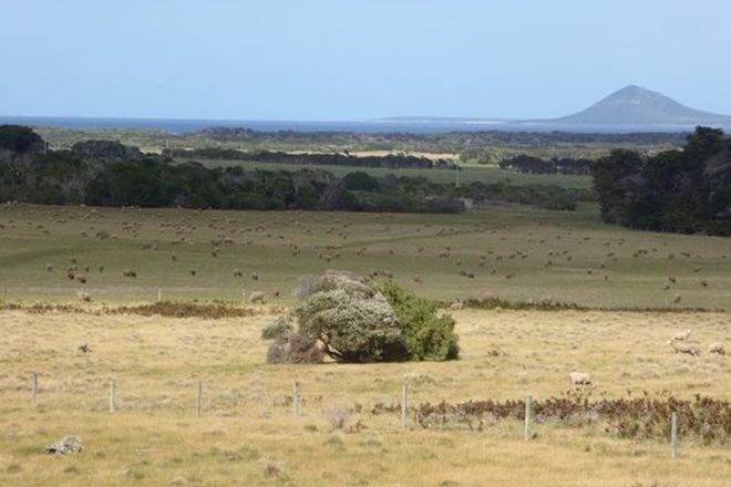 Picture of 568 Lady Barron Road, RANGA TAS 7255