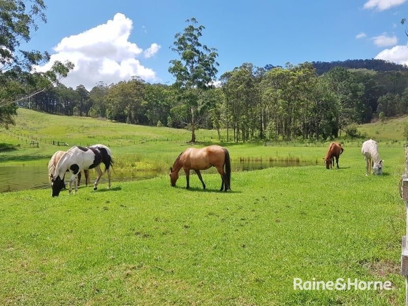 23 Hayes Road, Upper Horseshoe Creek, Kyogle NSW 2474, Image 0