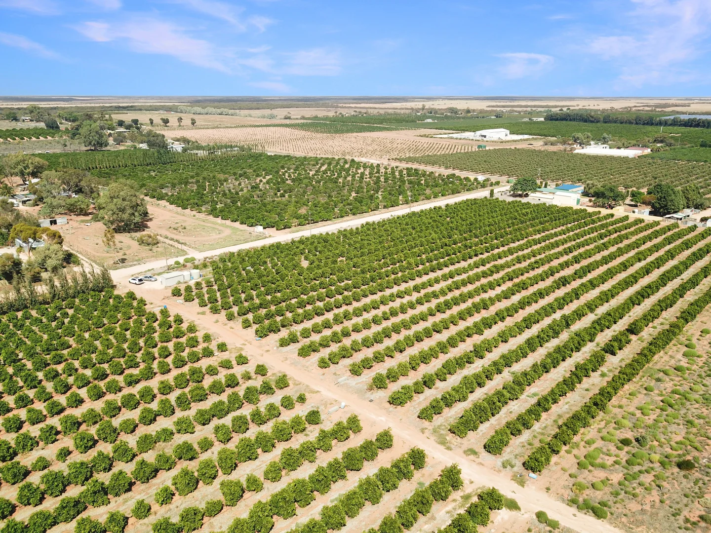 Additional image 10 of Lot 80 Foster Road, Sunlands SA 5322