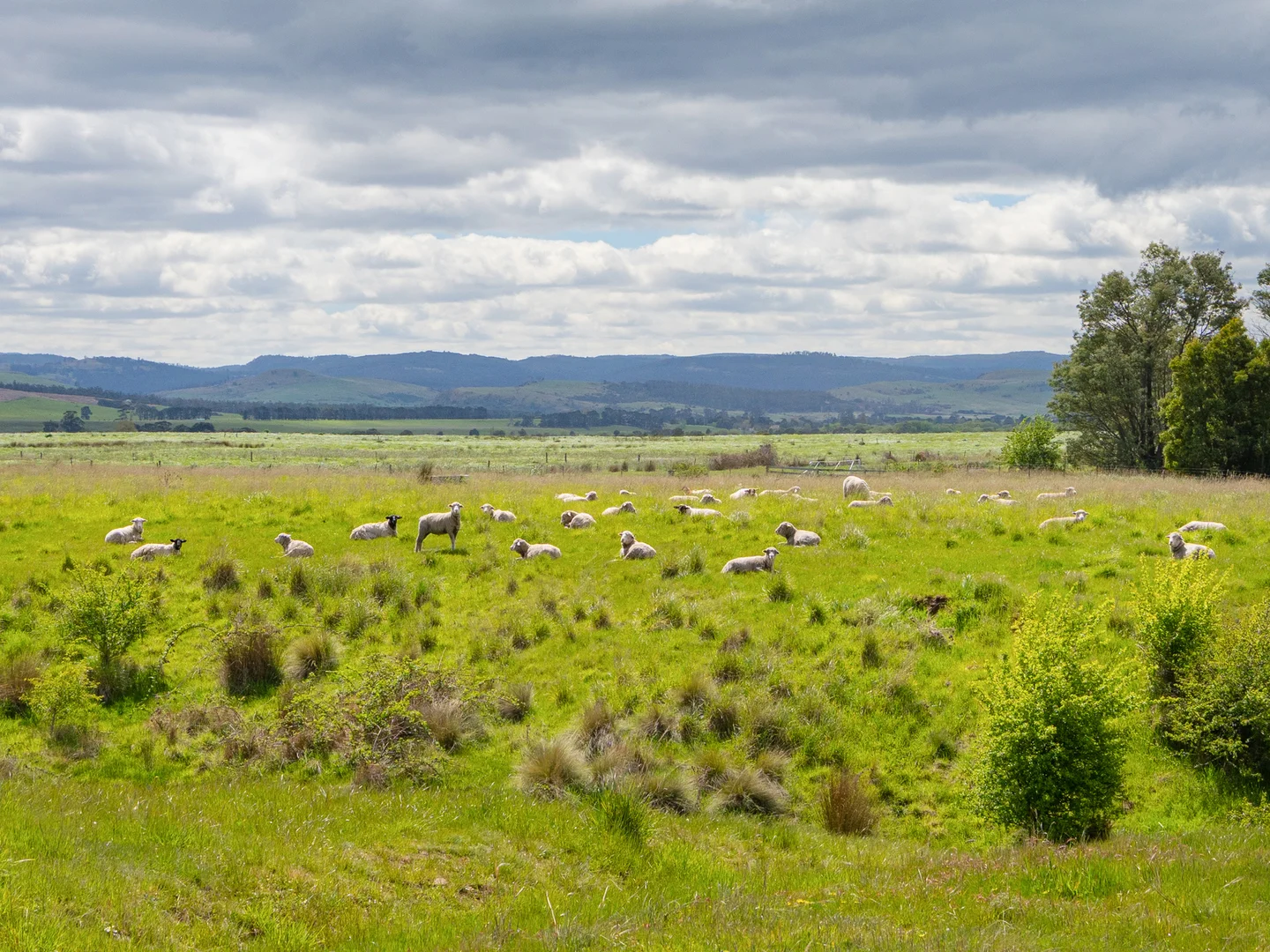 Additional image 38 of 2071 Ellendale Road, Ouse TAS 7140