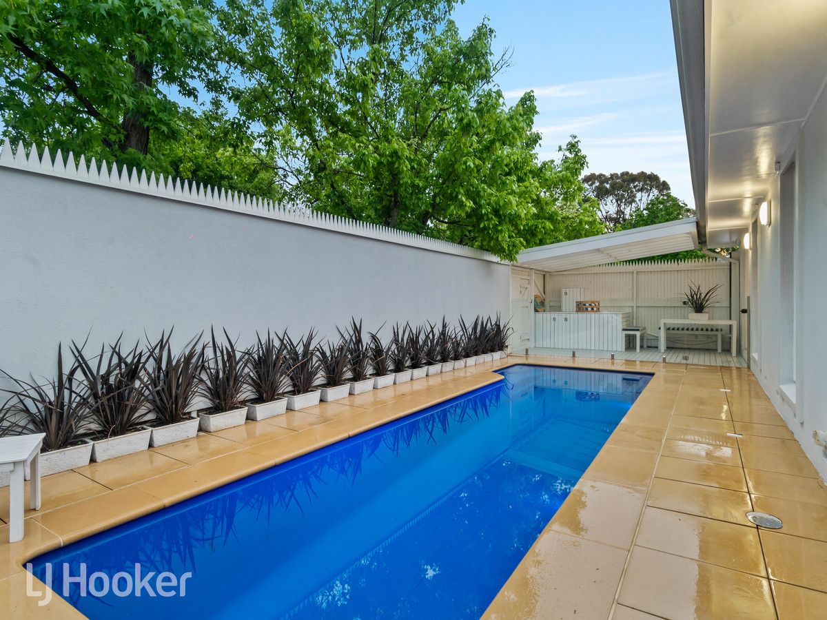 29 Northumberland Street, Tusmore SA 5065, Image 1