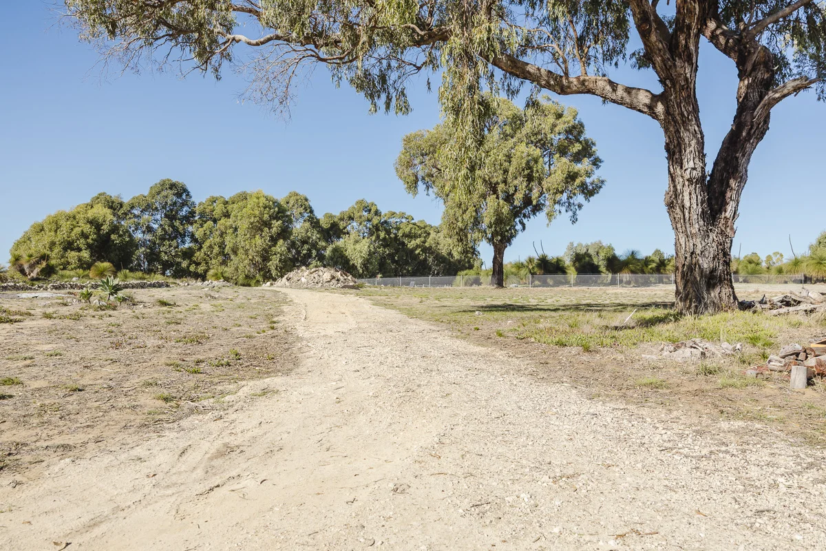 Image 19