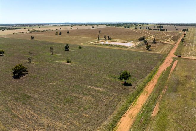 Picture of PT GOODENOUGH 716 Acres, UNGARIE NSW 2669