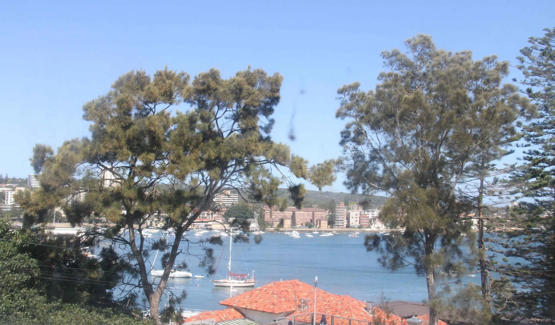 1a/11 The Crescent, Manly NSW 2095