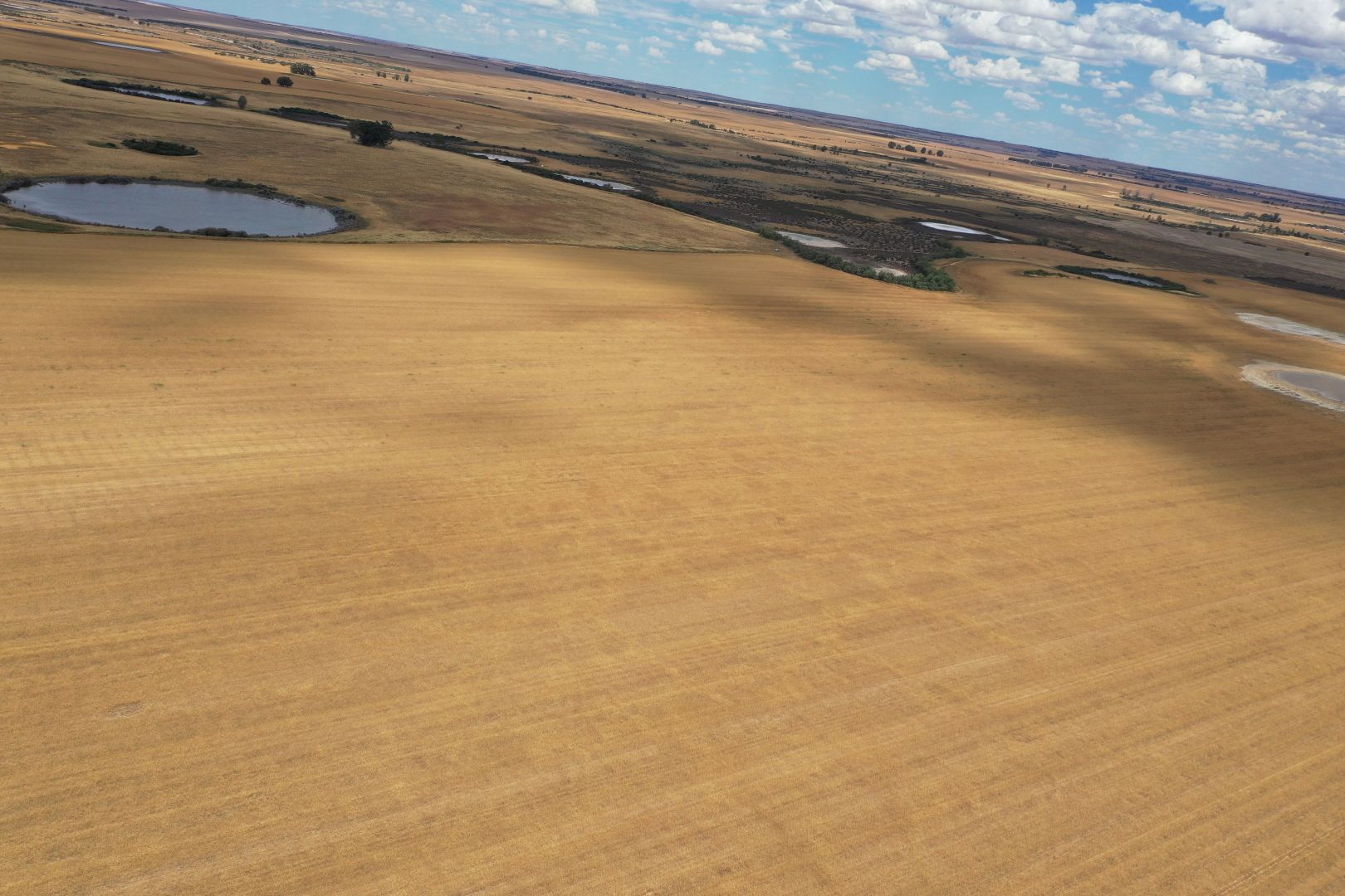 Miling WA 6575 - Farm for Sale | Domain
