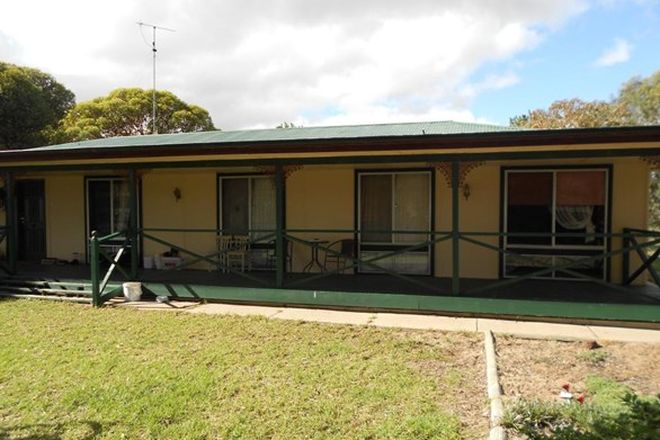 Picture of 10259 Ngarkat Hwy, BORDERTOWN SA 5268