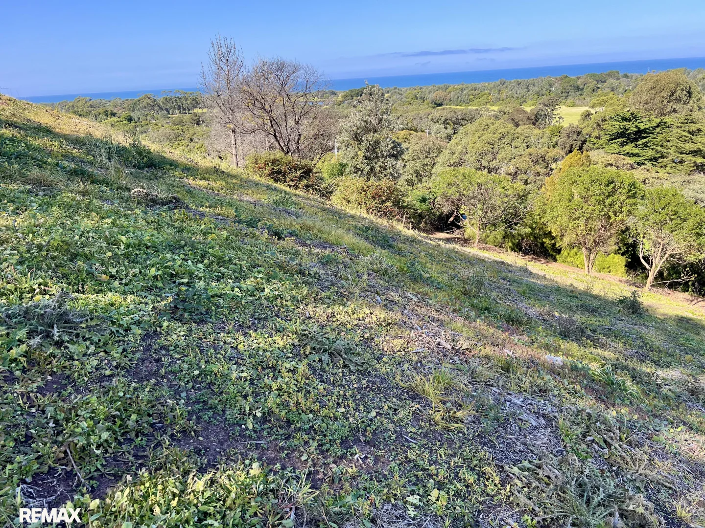 Image 12