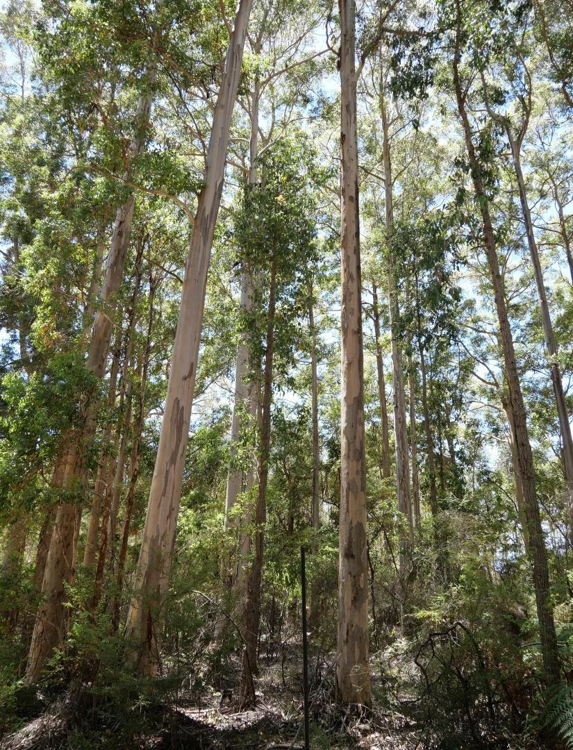Image 16