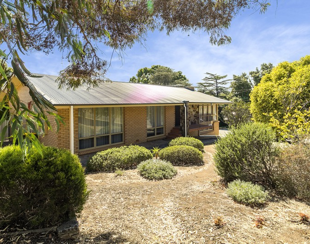 15 Bligh Avenue, Panorama SA 5041