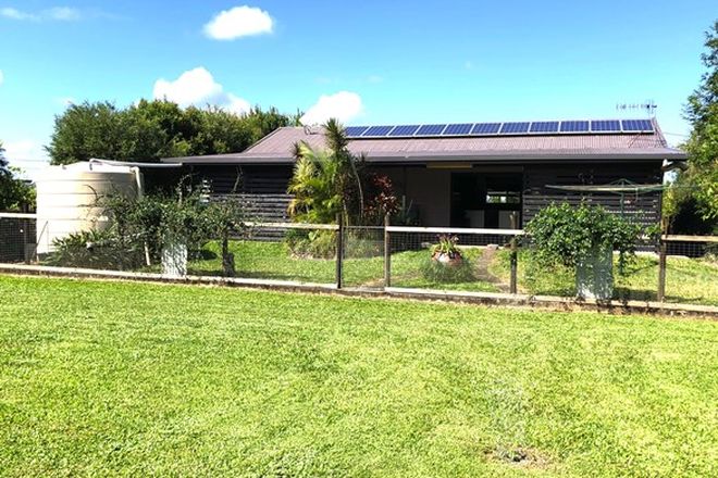 Picture of LOT 204 Crossan Rd, MIDGENOO QLD 4854