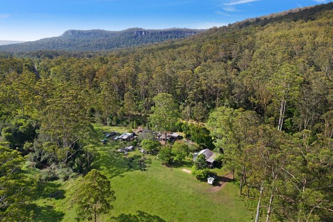 Picture of 239 Waihou Forest Road, GLENREAGH NSW 2450