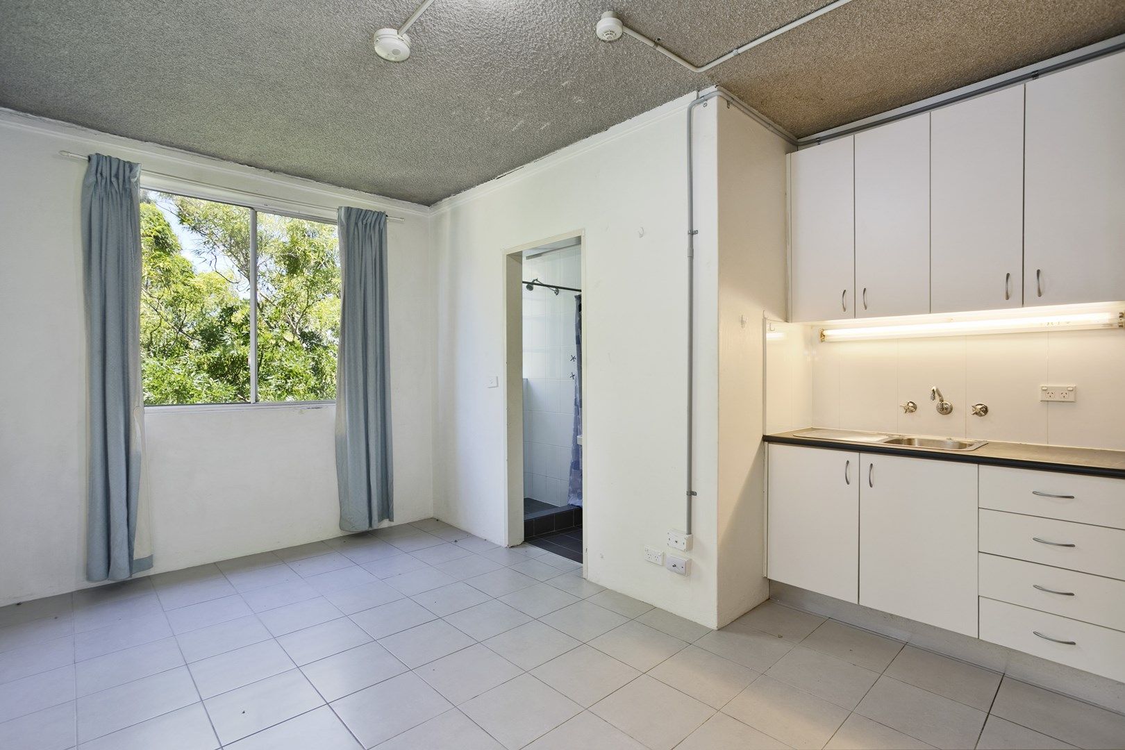 21-23 Palmer Street, Balmain NSW 2041, Image 1