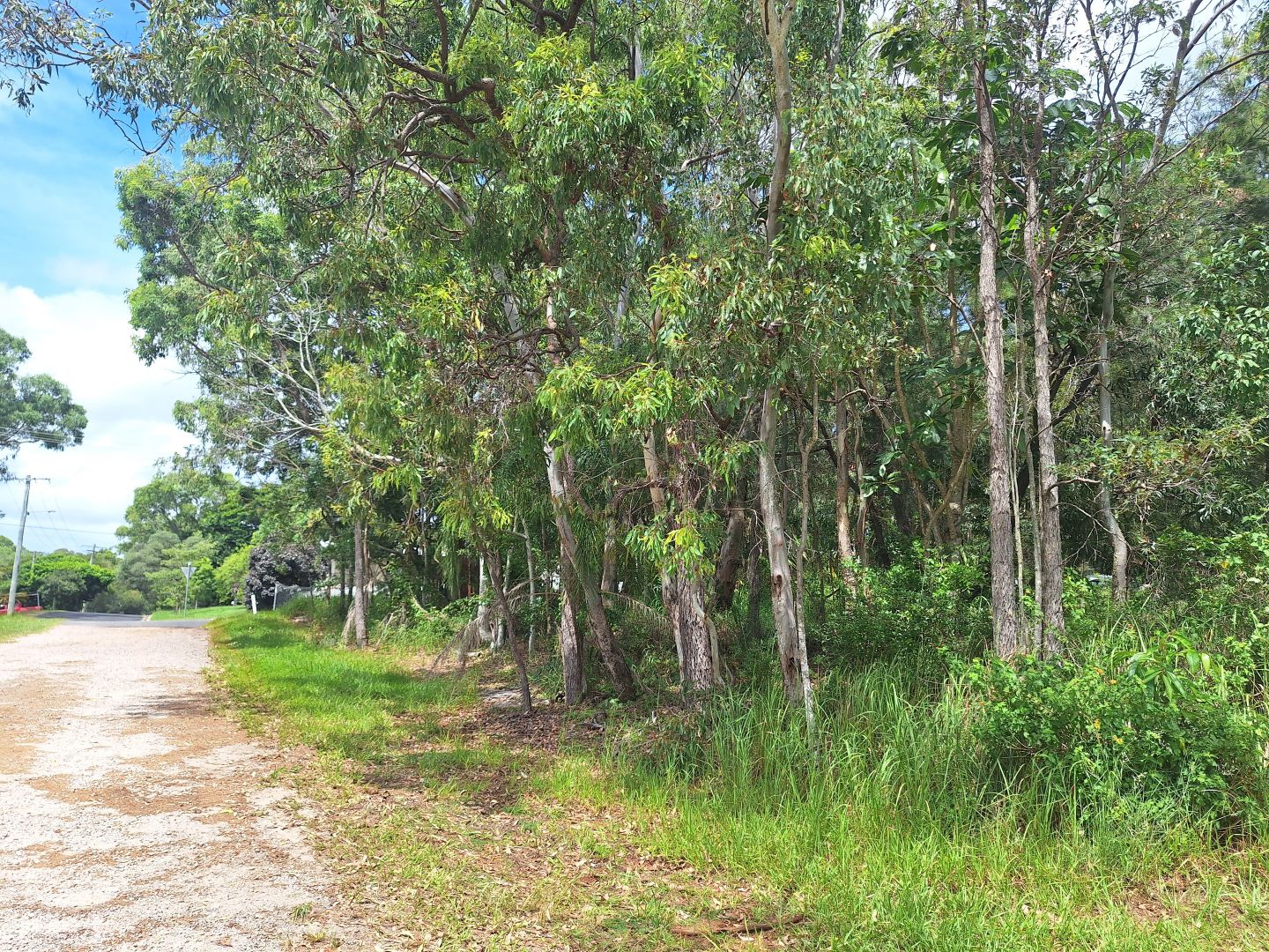 59 High Central Rd, Macleay Island QLD 4184, Image 1