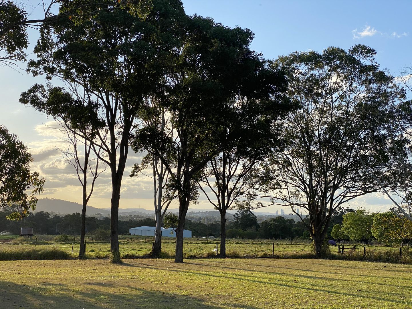 295 Rochedale Road, Rochedale QLD 4123 House for Sale Domain