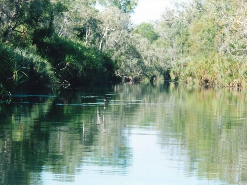 505 Darwin River Road, Darwin River NT 0841 Domain