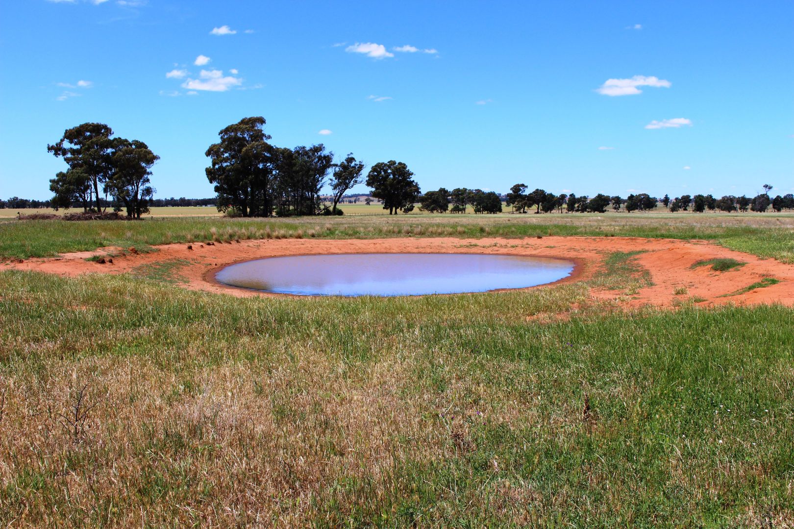 Campbells Ln, Coolamon NSW 2701, Image 2