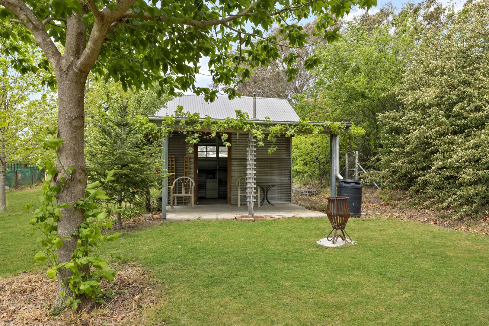 Image 12