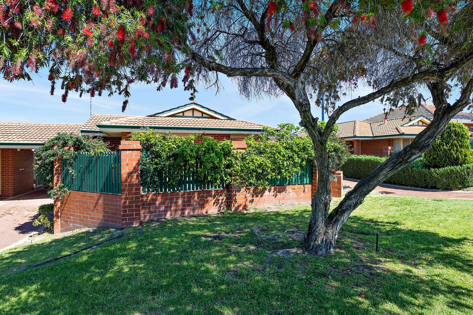C/203 French Street, Tuart Hill WA 6060 Villa For Rent 680 Domain