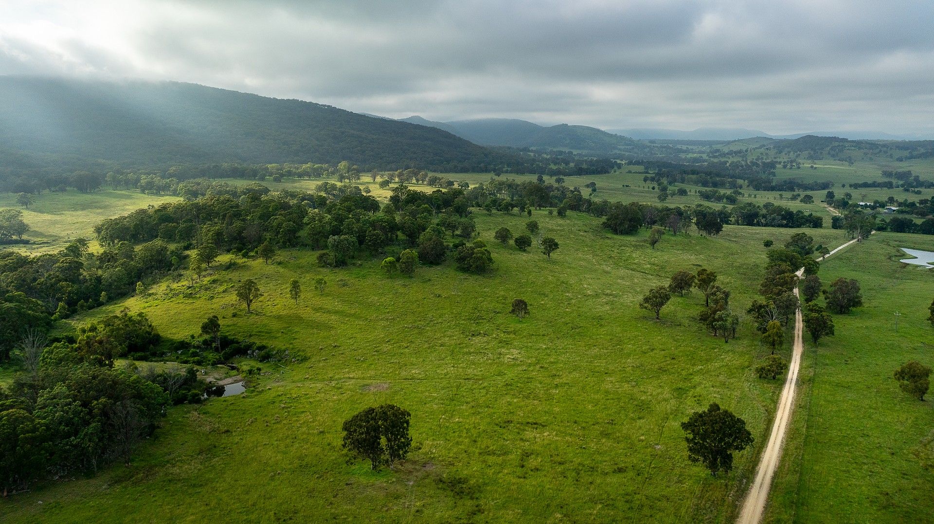 1259 Bald Rock Road, Tenterfield NSW 2372, Image 0