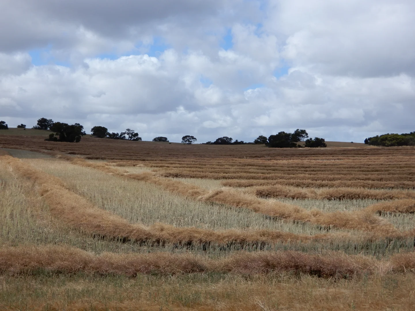 Image 10
