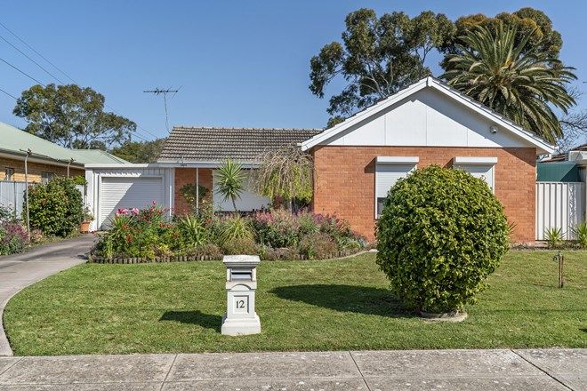 Picture of 12 Playford Avenue, NETLEY SA 5037