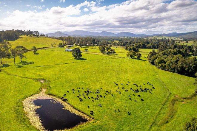 Picture of 1456 Rollands Plains Road, BALLENGARRA NSW 2441