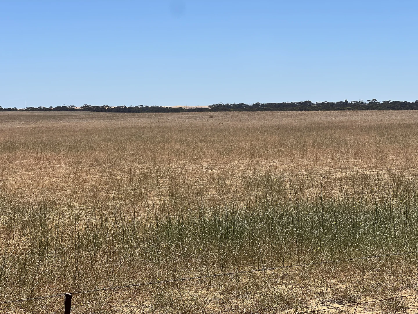 Image 15